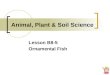 Animal, Plant & Soil Science Lesson B8-5 Ornamental Fish