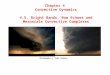 Chapter 4 Convective Dynamics 4.5. Bright Bands, Bow Echoes and Mesoscale Convective Complexes Photographs © Todd Lindley