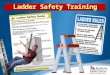 148. Portable ladder standards (1)Except as otherwise permitted by this Part, portable ladder design, construction and use shall meet the requirements