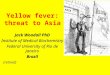 Yellow fever: threat to Asia Jack Woodall PhD Institute of Medical Biochemistry Federal University of Rio de Janeiro Brazil ASIA Jack Woodall PhD Institute