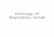 Histology of Respiratory System. Respiratory System Conducting Part-responsible for passage of air and conditioning of the inspired air. Examples:nasal
