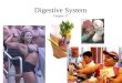 Digestive System Chapter 17. Undernourished – diet deficient in calories Malnourished – diet is missing one or more essential nutrients 4 classes of essential
