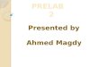 Presented by Ahmed Magdy Presented by Ahmed Magdy