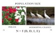 10 11 PHLOX WHOOPING CRANES POPULATION SIZE N = f (B, D, I, E)
