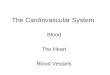 The Cardiovascular System Blood The Heart Blood Vessels