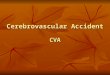 Cerebrovascular Accident CVA. Cerebrovascular Accident  Results from ischemia to a part of the brain or hemorrhage into the brain that results in death