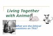 Living Together with Animals What are the Ethical Questions on This?