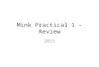 Mink Practical 1 - Review 2015. Green = Pink = Orange = Latissimus Dorsi Masseter Clavotrapezius