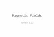 Magnetic Fields Tanya Liu. Some Expectations Participate! Please don’t be scared, I would like to hear everyone’s voice Once again, if you don’t understand