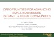 OPPORTUNITIES FOR ADVANCING SMALL BUSINESSES IN SMALL & RURAL COMMUNITIES Dr. Nancy Miller Colorado State University Business Retention and Expansion Symposium