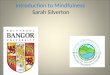 Introduction to Mindfulness Sarah Silverton. Mindfulness Mindfulness is.... ”....paying attention on purpose, in the present moment, non-judgementally....”