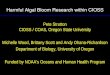 Harmful Algal Bloom Research within CIOSS Pete Strutton CIOSS / COAS, Oregon State University Michelle Wood, Brittany Scott and Andy Ohana-Richardson Department