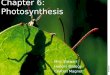 Chapter 6: Photosynthesis Mrs. Stewart Honors Biology Central Magnet