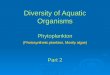 Diversity of Aquatic Organisms Phytoplankton (Photosynthetic plankton, Mostly algae) Part 2