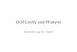 Oral Cavity and Pharynx Hannah Lea M. David. Anatomy of the Lips and Oral Cavity