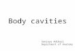 Body cavities Sanjaya Adikari Department of Anatomy