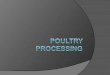 Processing Steps Shackling  Poultry meat processing is initiated by hanging, or shackling, the birds to a processing line.  Birds are transferred from