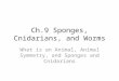 Ch.9 Sponges, Cnidarians, and Worms What is an Animal, Animal Symmetry, and Sponges and Cnidarians
