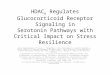 HDAC 6 Regulates Glucocorticoid Receptor Signaling in Serotonin Pathways with Critical Impact on Stress Resilience Julie Espallergues,1* Sarah L. Teegarden,1*