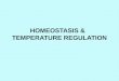 HOMEOSTASIS & TEMPERATURE REGULATION. Importance of Constant Internal Environment HOMEOSTASIS is defined as: the maintenance by an organism of a constant