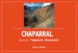 CHAPARRAL (a.k.a. Temperate Shrubland) Olivia Gehrke 