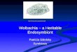 Wolbachia â€“ a Heritable Endosymbiont Patricia Sidelsky Symbiosis