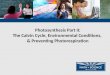 Photosynthesis Part II: The Calvin Cycle, Environmental Conditions, & Preventing Photorespiration