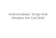 Antimicrobials: Drugs that Weaken the Cell Wall. Cell Wall Weakeners Beta Lactams –Penicillins –Cephalosporins –Carbapenems –Aztreonam Vancomycin Teicoplanin