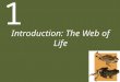 1 Introduction: The Web of Life. 1 Introduction: The Web of Life Outline Case Study: Deformity and Decline in Amphibian Populations Connections in Nature