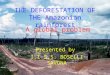 THE DEFORESTATION OF THE Amazonian rainforest Presented by I.I.S.S. BOSELLI SAVONA A global problem