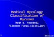 1 5/2/2015 Medical Mycology Classification of Mycoses Hugh B. Fackrell Filename Fungi_classi.ppt