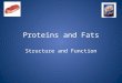 Proteins and Fats Structure and Function. Proteins and Fats What are some examples of protein?
