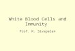 White Blood Cells and Immunity Prof. K. Sivapalan