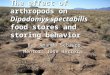 The effect of arthropods on Dipodomys spectabilis food stores and storing behavior By: Amanda Schaupp Mentor: Jose Herrera