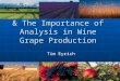 Elemental Prominence & The Importance of Analysis in Wine Grape Production Tim Eyrich