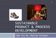 SUSTAINABLE PRODUCT & PROCESS DEVELOPMENT ISQA 511 Dr. Mellie Pullman 1