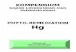 KOMPENDIUM KAJIAN LINGKUNGAN DAN PEMBANGUNAN PHYTO-REMEDIATION Hg Dikoleksi oleh: Novie A.S. dan Soemarno PDKLP-PPSUB Mei 2012