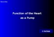 Heart as a Pump Function of the Heart as a Pump J. Kachope