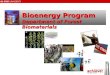 Bioenergy Program Department of Forest Biomaterials