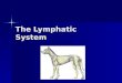 The Lymphatic System. Series of vessel/ducts Series of vessel/ducts â€“Carry excess tissue fluid to blood vessel Structures Structures â€“Lymph nodes â€“Spleen