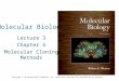 Molecular Biology Lecture 3 Chapter 4 Molecular Cloning Methods Copyright © The McGraw-Hill Companies, Inc. Permission required for reproduction or display