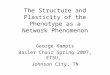 The Structure and Plasticity of the Phenotype as a Network Phenomenon George Kampis Basler Chair Spring 2007, ETSU, Johnson City, TN