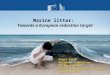 Nigel Smith European Commission DG Environment Marine Environment and Water Industry Unit Marine litter: Towards a European reduction target