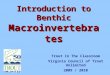 Introduction to Benthic Macroinvertebrates Trout In The Classroom Virginia Council of Trout Unlimited 2009 / 2010