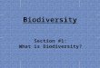 Biodiversity Section #1: What is Biodiversity?. Biodiversity short for biological diversity the number & variety of different species in a given area