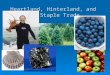 Heartland, Hinterland, and the Staple Trade.  What do those products have in common?  How are they important to Nova Scotia?  What role does each of