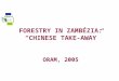 FORESTRY IN ZAMBÉZIA: “CHINESE TAKE-AWAY” ORAM, 2005