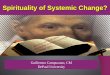 Spirituality of Systemic Change? Guillermo Campuzano, CM DePaul University Misery is not an accident… the solution to misery cannot be accidental either…