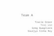 Team A Tracie Greer Yisi Lin Greg Quagliara Sourjya Sinha Roy