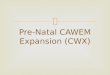 Pre-Natal CAWEM Expansion (CWX).   Overview of Pre-natal CAWEM Expansion Program  “CAWEM Plus” benefit package  Eligibility  CM system coding &